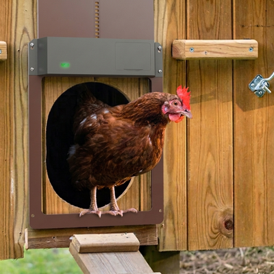 Automatische Hühnerstalltür - Hateik