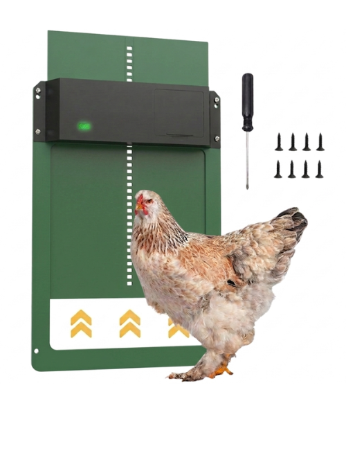 Grün